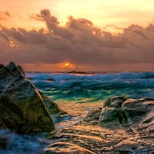 Meet your Posher, Lorraine